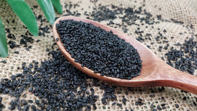 bai-viet/hat-e-co-tac-dung-gi-doi-voi-suc-khoe-con-nguoi-63770.html