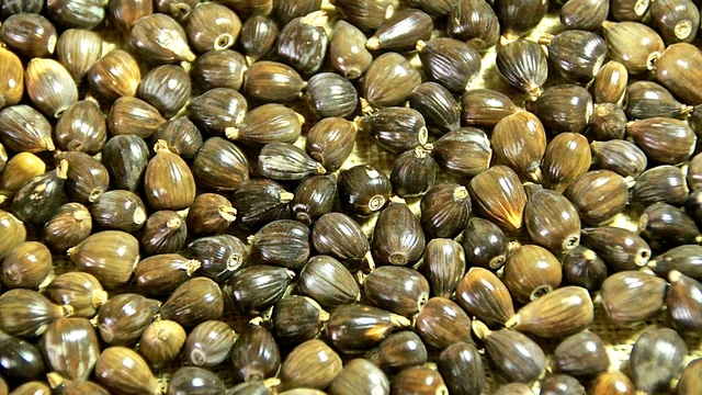 bai-viet/hat-y-di-co-tot-cho-ba-bau-khong-mot-so-loai-hat-giau-dinh-duong-tot-cho-thai-phu.html