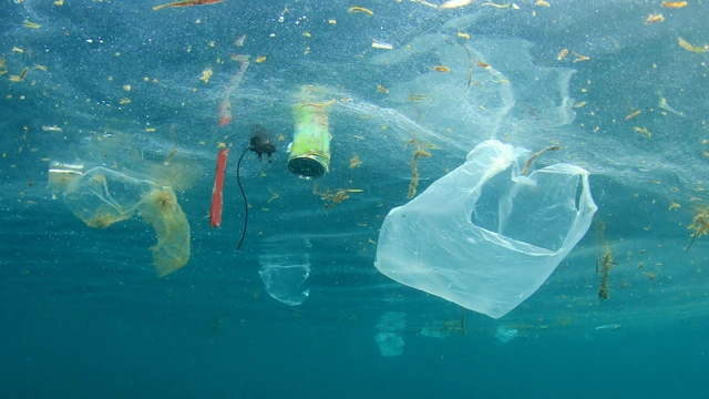 bai-viet/hau-qua-cua-o-nhiem-nguon-nuoc-doi-voi-suc-khoe-va-cach-khac-phuc.html