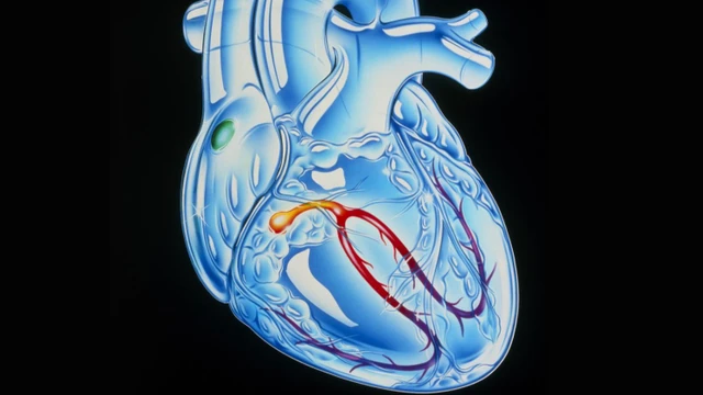 bai-viet/he-dan-truyen-tim-va-nhung-dieu-co-the-ban-chua-biet.html