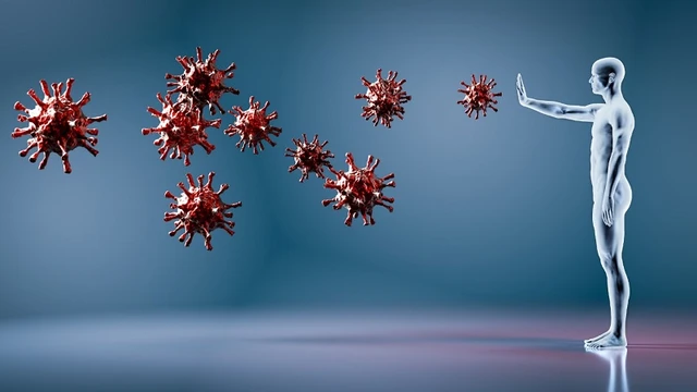 bai-viet/tim-hieu-ve-tam-quan-trong-cua-he-mien-dich.html