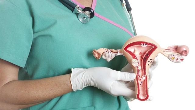 bai-viet/tim-hieu-ve-cau-truc-va-sinh-ly-cua-he-sinh-duc-nam-va-nu.html