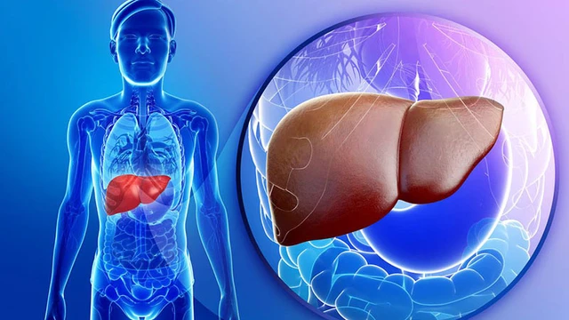 bai-viet/hemangioma-gan-nguyen-nhan-trieu-chung-va-cach-dieu-tri.html