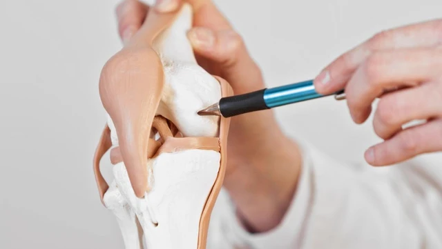 benh/hep-khe-khop-goi.html