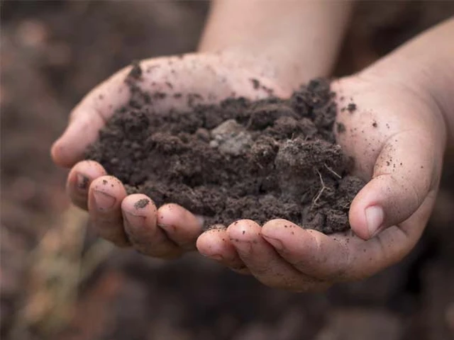 bai-viet/dung-nham-lan-giua-whitmore-va-vi-khuan-an-thit-nguoi-o-viet-nam-44501.html