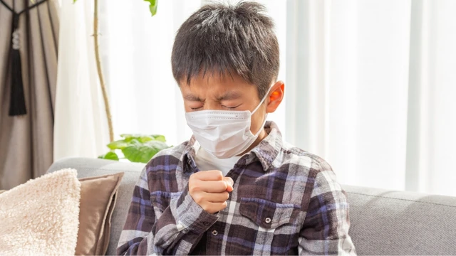 bai-viet/ho-ga-co-lay-khong-duong-lay-truyen-muc-do-nguy-hiem-va-cach-phong-ngua.html