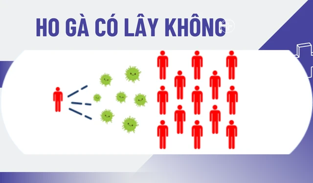 bai-viet/ho-ga-co-lay-khong-va-lay-qua-duong-nao-55808.html