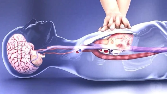 bai-viet/ho-tro-su-song-co-ban-va-nhung-thong-tin-ban-can-biet.html