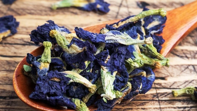 bai-viet/hoa-dau-biec-co-the-giam-can-khong-cach-uong-hoa-dau-biec-giam-can-67988.html