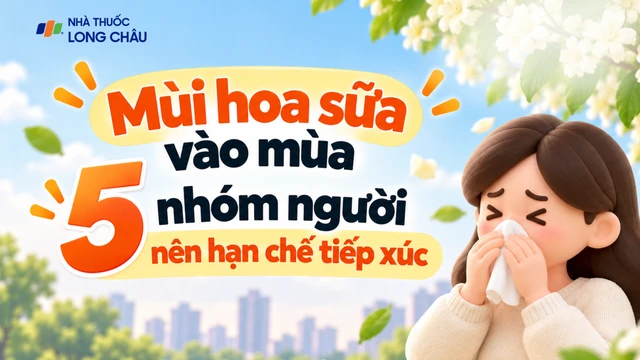 bai-viet/hoa-sua-no-ro-khap-pho-ai-nen-chu-dong-tranh-mui-huong-nong-10009.html
