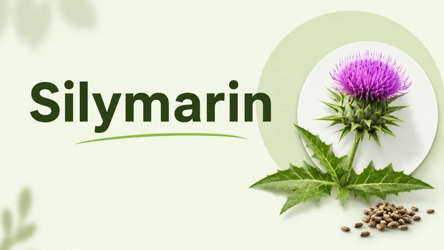 bai-viet/hoat-chat-silymarin-la-gi-co-nguon-goc-tu-dau.html