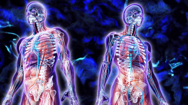 bai-viet/hoc-thuyet-tang-phu-la-gi-mot-so-benh-ly-lien-quan-den-hoc-thuyet-tang-phu.html