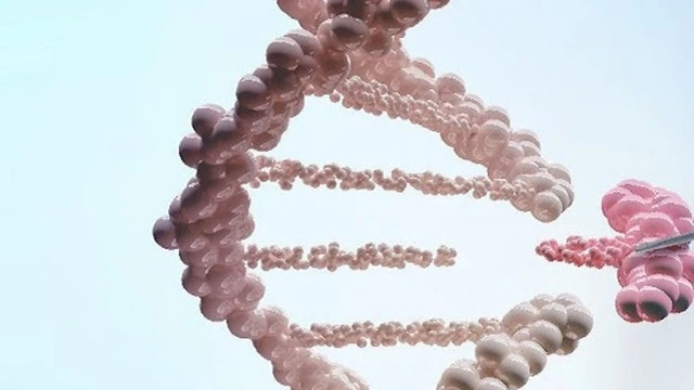 bai-viet/hoi-chung-li-fraumeni-lfs-58636.html