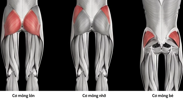 benh/hoi-chung-mong-chet.html