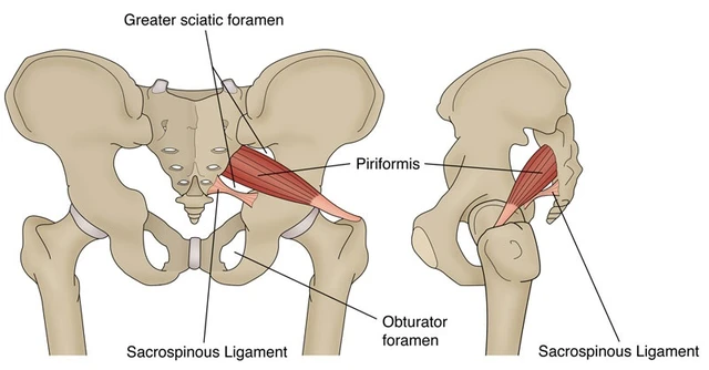 bai-viet/hoi-chung-piriformis-nguyen-nhan-dau-hieu-nhan-biet-va-cach-dieu-tri.html