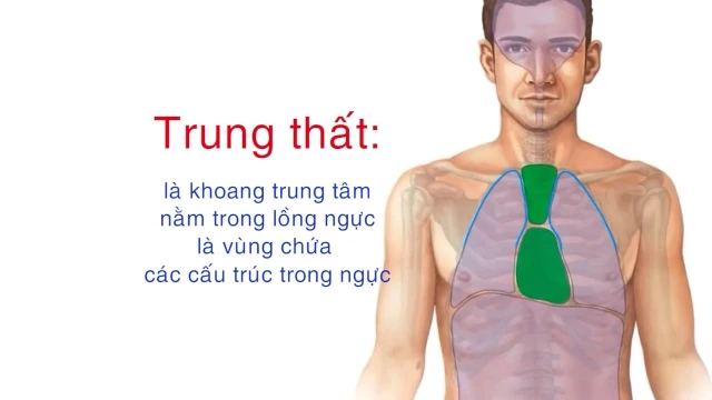 bai-viet/hoi-chung-trung-that-gay-nen-nhung-trieu-chung-gi-nguyen-nhan-va-huong-dieu-tri-hieu-qua.html