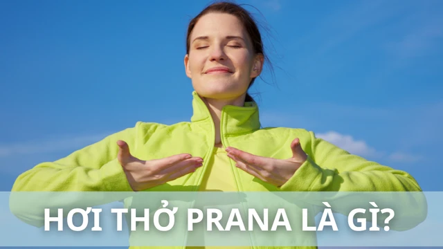 bai-viet/hoi-tho-prana-la-gi-loi-ich-cua-viec-ung-dung-hoi-tho-prana-trong-yoga.html