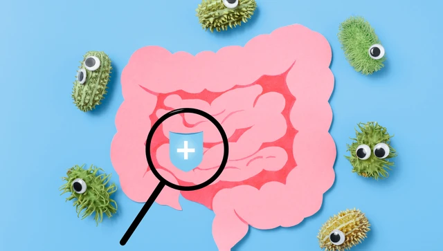 bai-viet/hon-nhau-co-lay-vi-khuan-hp-khong-su-that-can-biet-de-bao-ve-suc-khoe.html