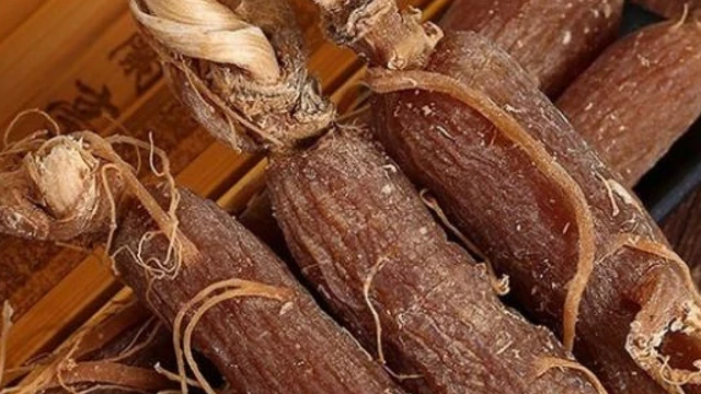 bai-viet/hong-sam-nen-uong-vao-luc-nao-nhung-luu-y-khi-dung-hong-sam-59796.html