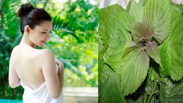 bai-viet/huong-dan-ban-cach-tam-trang-bang-la-tia-to-don-gian-ma-hieu-qua-68413.html