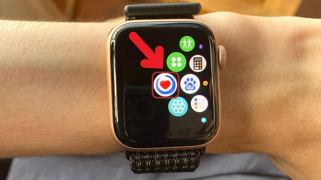 bai-viet/huong-dan-cach-do-oxy-bang-apple-watch-va-mot-so-van-de-can-luu-y.html