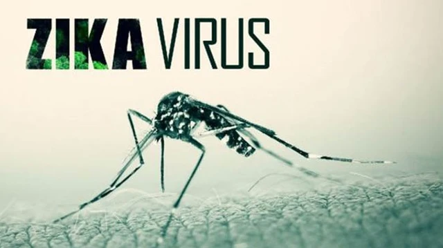 bai-viet/huong-dan-cach-phong-chong-virus-zika-an-toan-va-hieu-qua-67554.html