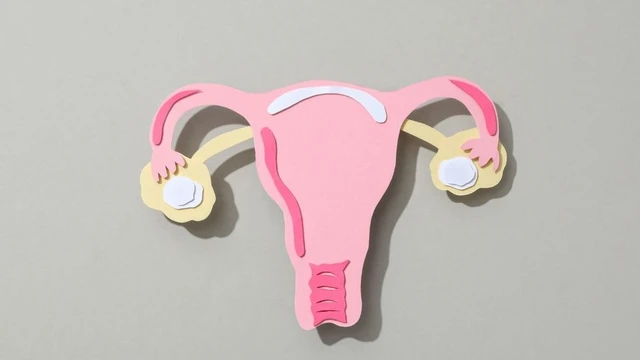 bai-viet/huong-dan-cach-phuc-hoi-tu-cung-sau-say-thai-khong-phai-ai-cung-biet.html