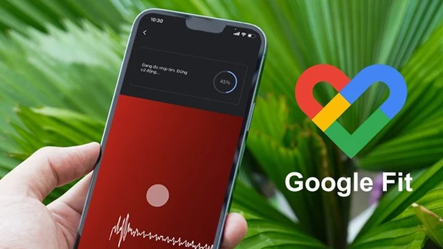 bai-viet/huong-dan-do-nhip-tim-tren-i-phone-de-theo-doi-suc-khoe-hang-ngay.html