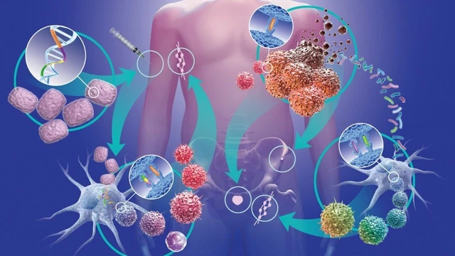 bai-viet/huong-dan-nhung-cach-phong-ngua-ung-thu-hieu-qua-ban-can-biet.html