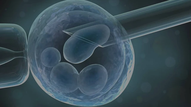 bai-viet/hut-tinh-trung-tu-mao-tinh-la-gi.html