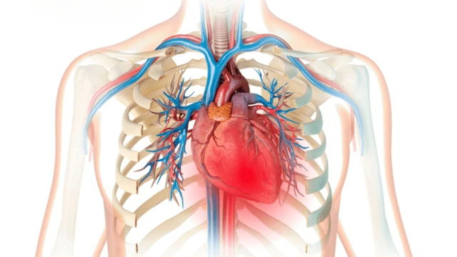 bai-viet/huyet-ap-tinh-mach-yeu-to-quan-trong-trong-quan-ly-benh-ly-tim-mach.html