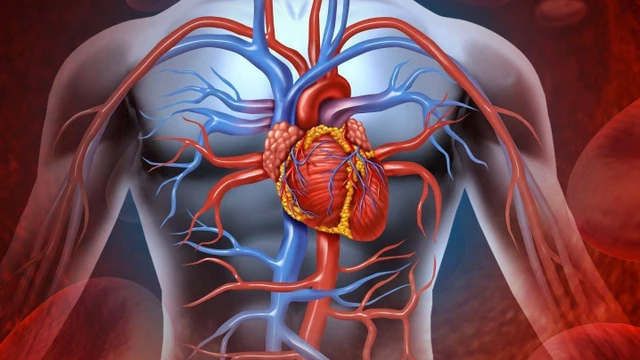 bai-viet/huyet-khoi-trong-tim-nguyen-nhan-trieu-chung-chan-doan-va-dieu-tri.html