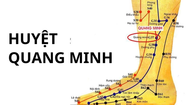 bai-viet/huyet-quang-minh-la-huyet-gi-vi-tri-va-tac-dung-cua-huyet.html