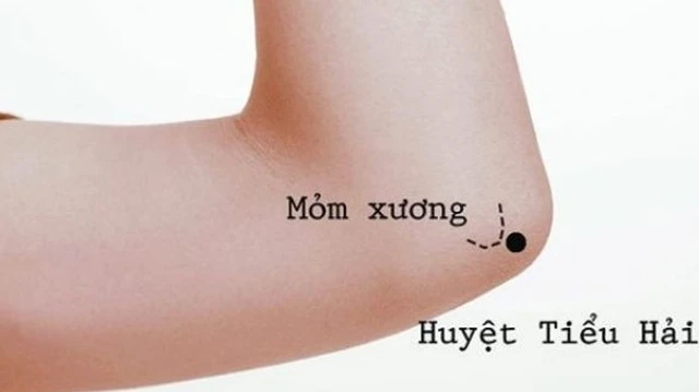 bai-viet/huyet-tieu-hai-la-gi-vai-tro-cua-huyet-tieu-hai.html