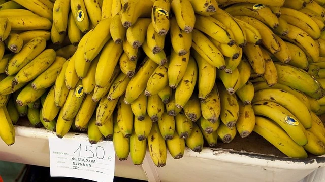 bai-viet/kali-la-gi-va-vai-tro-cua-kali-doi-voi-co-the.html