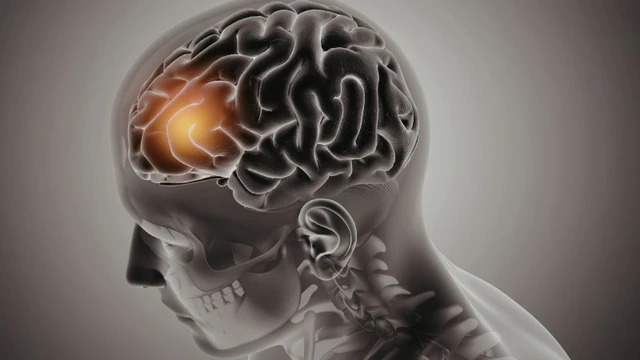 bai-viet/nuoi-nao-la-gi-phuong-phap-boi-bo-nao-hieu-qua.html