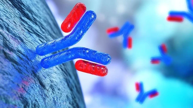 bai-viet/khang-the-covid-bao-nhieu-la-tot.html