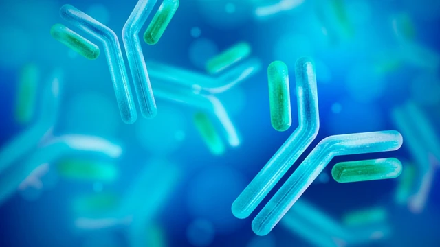 bai-viet/khang-the-la-gi-60693.html