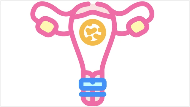 bai-viet/khau-eo-co-tu-cung-la-gi-cac-ky-thuat-khau-eo-co-tu-cung.html