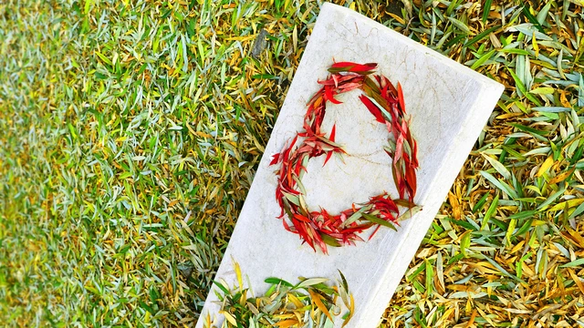 bai-viet/khoanh-khac-rung-dong-la-gi-bieu-hien-khi-rung-dong-truoc-mot-nguoi.html