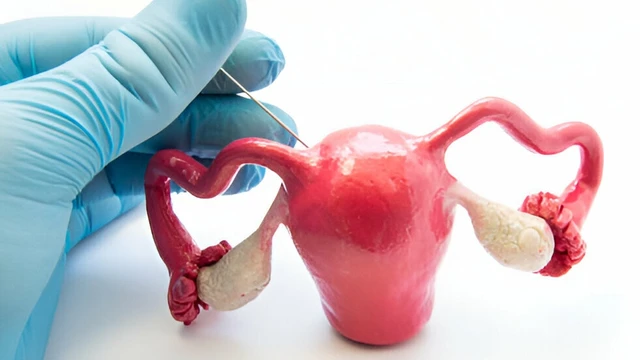 bai-viet/lam-ivf-co-dau-khong-loi-khuyen-de-giam-dau-khi-lam-ivf.html