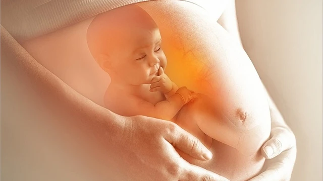 bai-viet/lam-sao-de-biet-thai-nhi-dang-thuc-hay-ngu-trong-bung-me.html