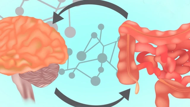 bai-viet/lam-the-nao-de-giu-can-bang-he-vi-sinh-duong-ruot.html