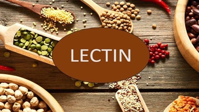 bai-viet/lectins-la-gi-bat-mi-mot-so-loai-thuc-pham-chua-nhieu-lectins.html