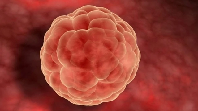 bai-viet/lieu-rang-kich-thuoc-trung-17mm-co-thu-thai-duoc-khong-lam-sao-de-do-kich-thuoc-trung.html