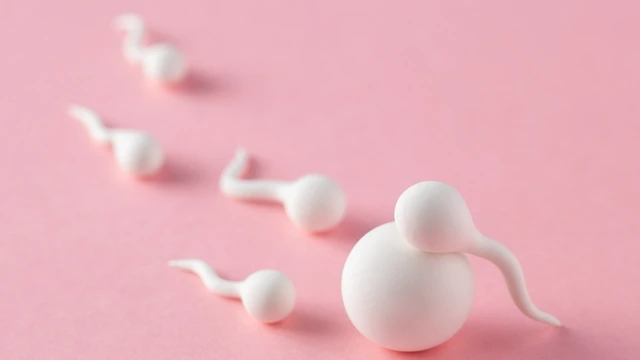 bai-viet/goc-giai-dap-lieu-tinh-trung-dinh-vao-quan-lot-co-thai-khong.html