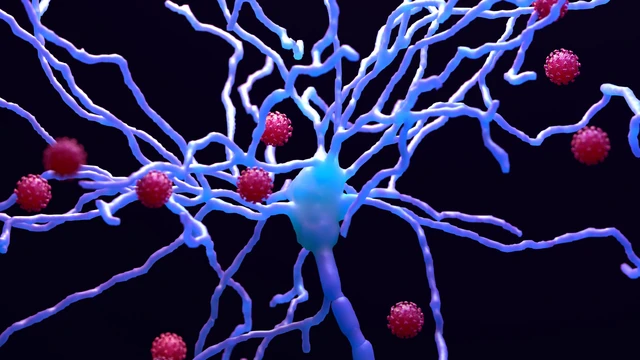 Loạn dưỡng bạch cầu dị sắc 0