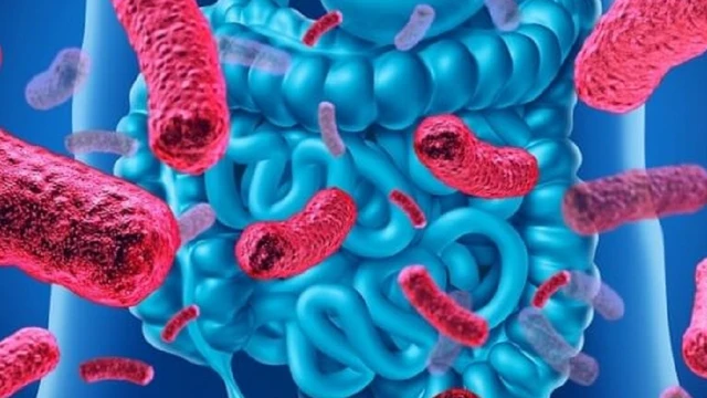 bai-viet/loan-khuan-duong-ruot-uong-thuoc-gi-phuong-phap-cai-thien-suc-khoe-duong-ruot.html