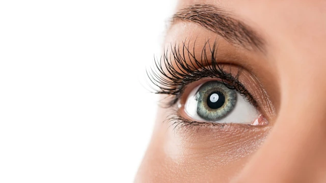 bai-viet/long-mi-va-nhung-dieu-ban-can-biet.html