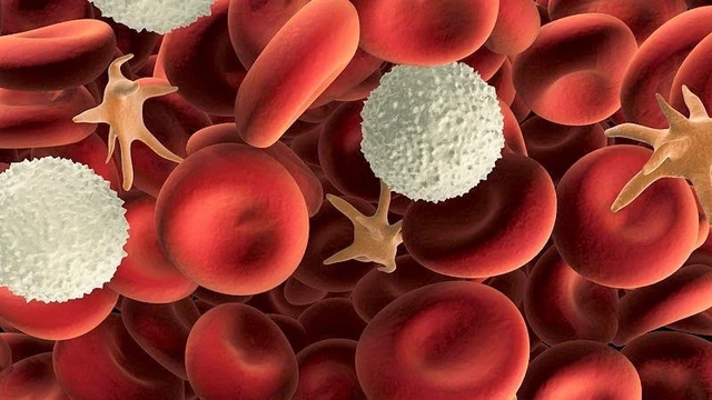 bai-viet/luong-bach-cau-lympho-tang-la-benh-gi.html